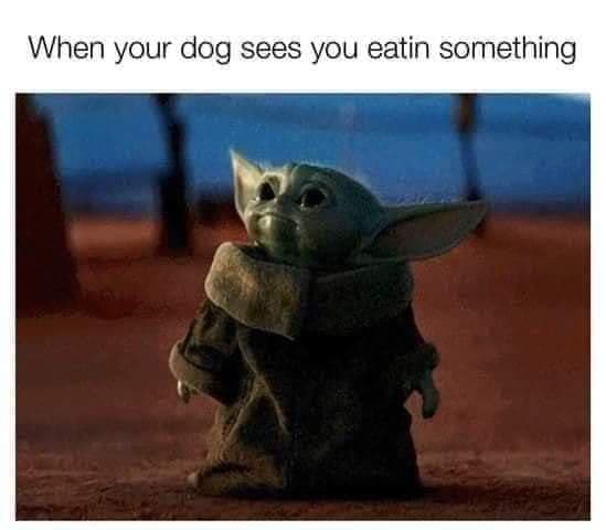 This meme is a still image from the Star Wars franchise, specifically from the movie "The Mandalorian" (2019). The image shows the character "The Child" (also known as "Baby Yoda") with a surprised expression. The text "When your dog sees you eating something" is written above the image, implying that the dog has caught its owner eating something and is now aware of the snack.
